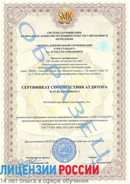 Образец сертификата соответствия аудитора №ST.RU.EXP.00006191-3 Красновишерск Сертификат ISO 50001
